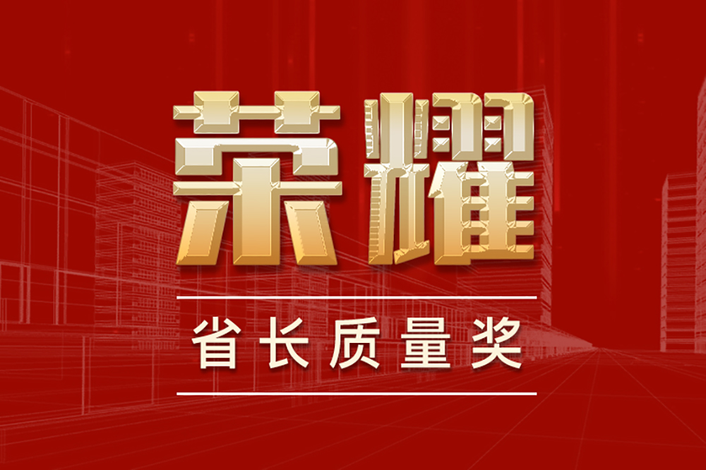 “省长质量奖”为友谊咨询荣誉榜再添新彩