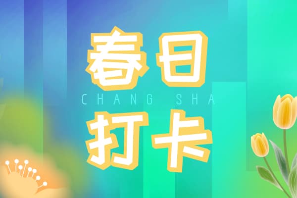 长沙春日限定美景 你打卡了吗?